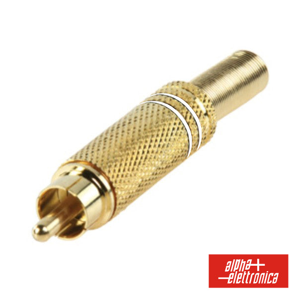 Ficha Rca Macho Dourada-Branca C/ Proteção De Cabo - NOVEDUC Equipamento Laboratório e Formação Profissional