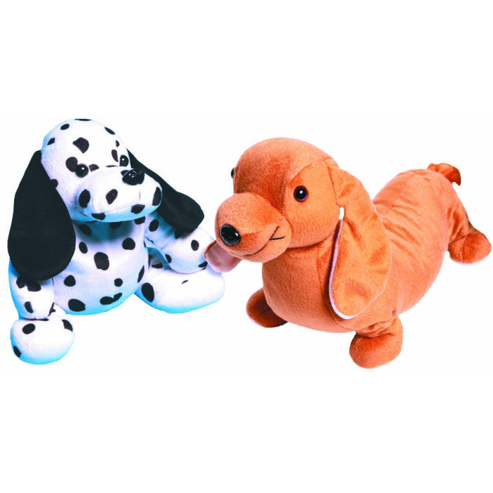 Animais sensoriais - Cão Dachshund - NOVEDUC Equipamento Laboratório e Formação Profissional