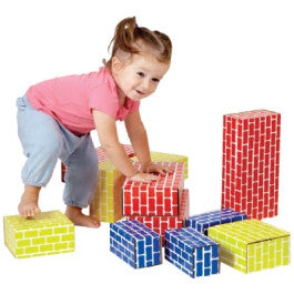 Conjunto 52 Tijolos em Cartão - NOVEDUC Equipamento Laboratório e Formação Profissional