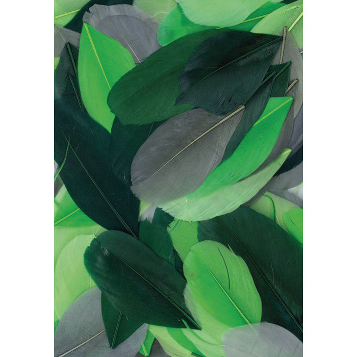 Conjunto de 100 Penas de Ganso Verdes - NOVEDUC Equipamento Laboratório e Formação Profissional