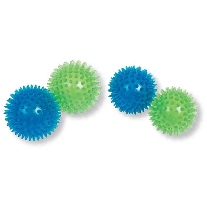 Conjunto de 4 bolas sensoriais - NOVEDUC Equipamento Laboratório e Formação Profissional