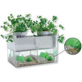 Modelo ECO2 - NOVEDUC Equipamento Laboratório e Formação Profissional