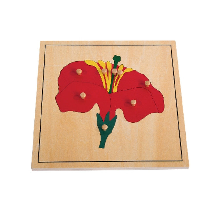 Puzzle de Flor - NOVEDUC Equipamento Laboratório e Formação Profissional