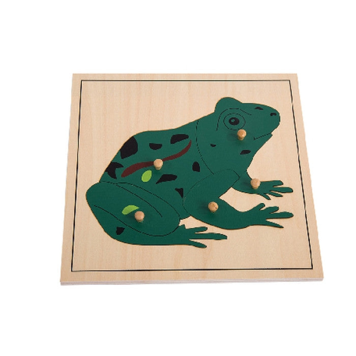 Puzzle de Sapo - NOVEDUC Equipamento Laboratório e Formação Profissional