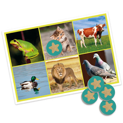 Bingo: Os Animais e Natureza - NOVEDUC Equipamento Laboratório e Formação Profissional