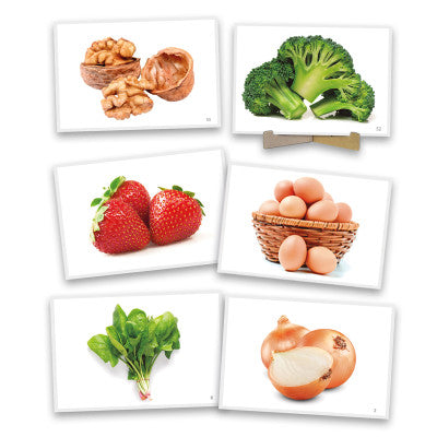 Fotografias de Alimentos - NOVEDUC Equipamento Laboratório e Formação Profissional