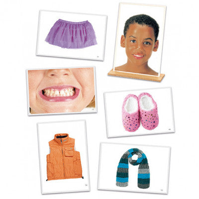 Fotografias do Corpo Humano e Vestuário - NOVEDUC Equipamento Laboratório e Formação Profissional