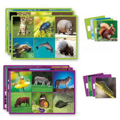 Loto: 72 Animais - NOVEDUC Equipamento Laboratório e Formação Profissional