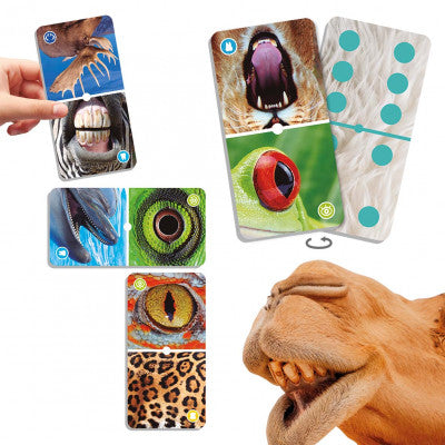 Natudomino: Ampliação dos Animais - NOVEDUC Equipamento Laboratório e Formação Profissional