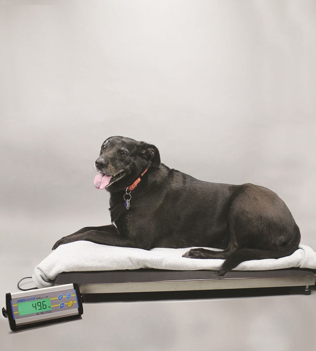 Balança de Veterinário cpwplus 200l - NOVEDUC Equipamento Laboratório e Formação Profissional