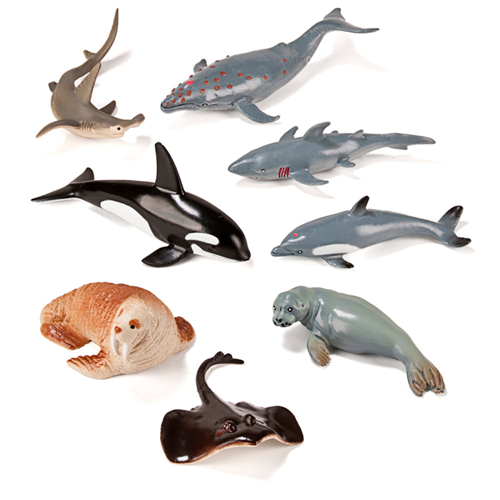 Animais Marinhos, 8 Unid. - NOVEDUC Equipamento Laboratório e Formação Profissional