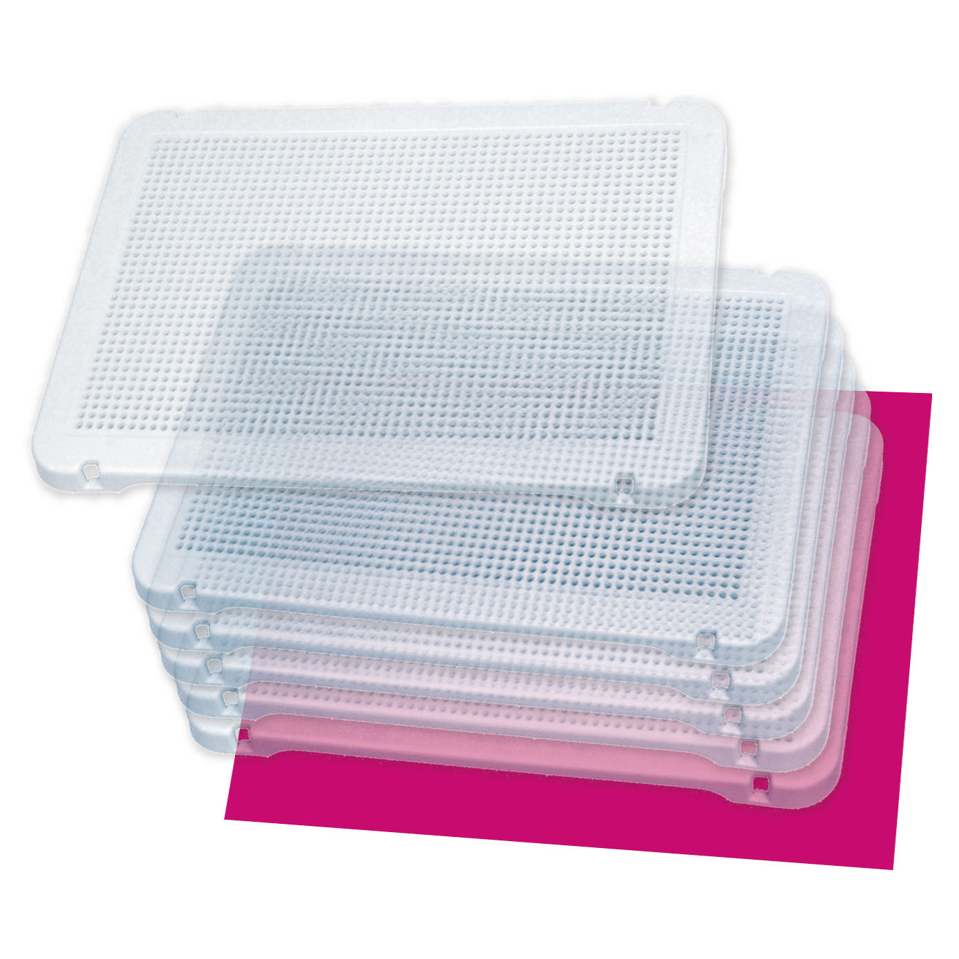 Conjunto 6 Placas Transparentes para Pinos - NOVEDUC Equipamento Laboratório e Formação Profissional