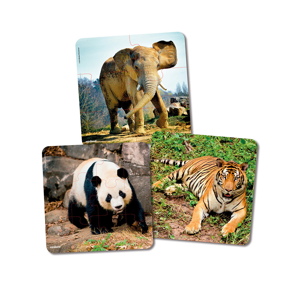Conjunto de 3 Puzzles Animais - NOVEDUC Equipamento Laboratório e Formação Profissional