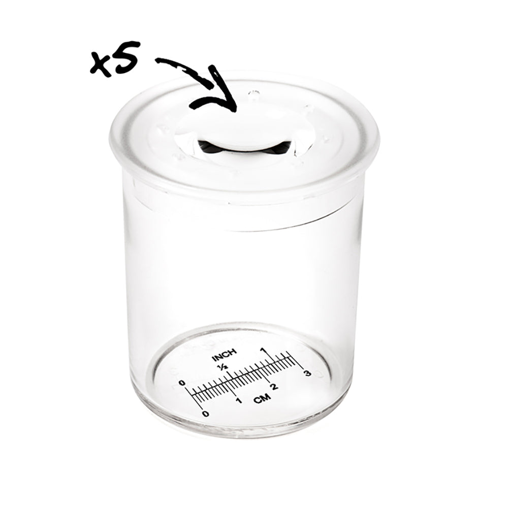 Copo de Visualização de Insetos, 12 peças - NOVEDUC Equipamento Laboratório e Formação Profissional