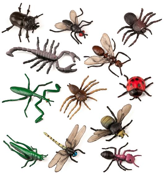 Os Insectos, 12 Unid. - NOVEDUC Equipamento Laboratório e Formação Profissional
