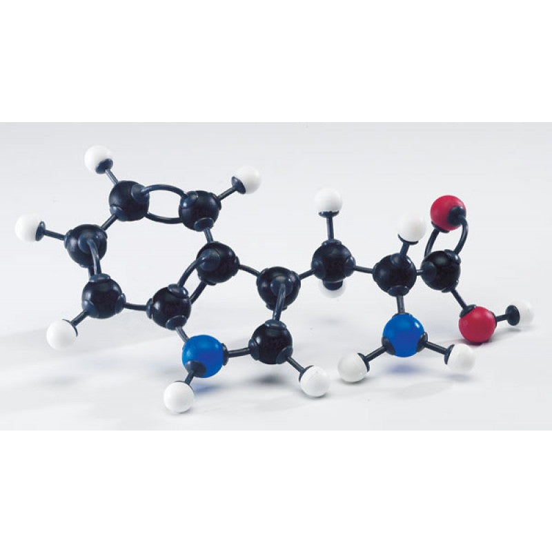 Modelos Moleculares De Aminoácidos