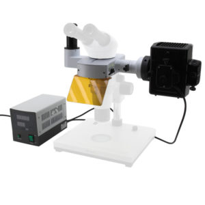 Acessório SZP HBO fluo, 3 pólos. (Conjunto de filtros B&G) - NOVEDUC Equipamento Laboratório e Formação Profissional