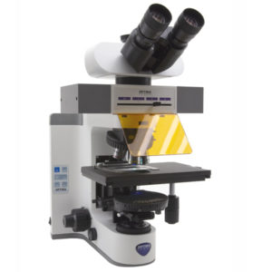 Microscópio Fluorescência (LED FLUORESCENCE) B-1000LD4 - NOVEDUC Equipamento Laboratório e Formação Profissional