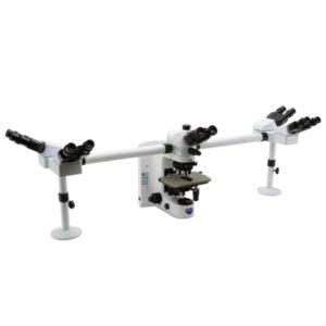 Microscópio Multi-Cabeça (5 Cabeças) B-1000Ti-5 - NOVEDUC Equipamento Laboratório e Formação Profissional
