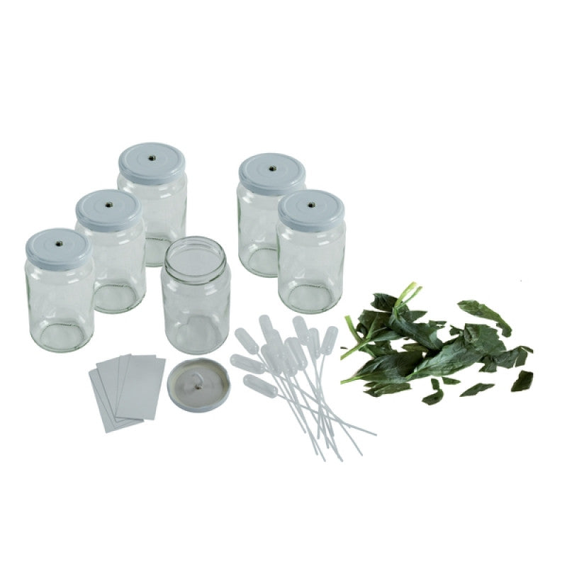 C.C.M. Kit De Pigmentos Vegetais - NOVEDUC Equipamento Laboratório e Formação Profissional