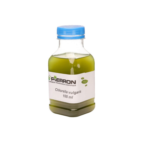 Chlorella Vulgaris 100Ml - NOVEDUC Equipamento Laboratório e Formação Profissional