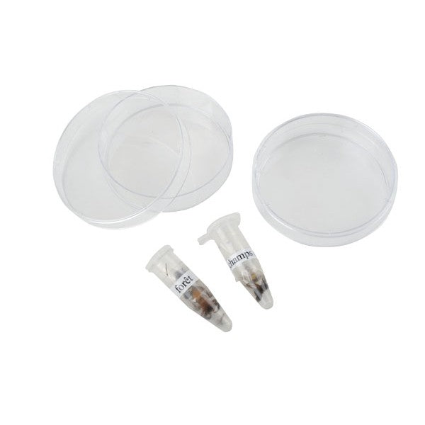 Conjunto Biodiversidade Do Solo - Microtubos - NOVEDUC Equipamento Laboratório e Formação Profissional