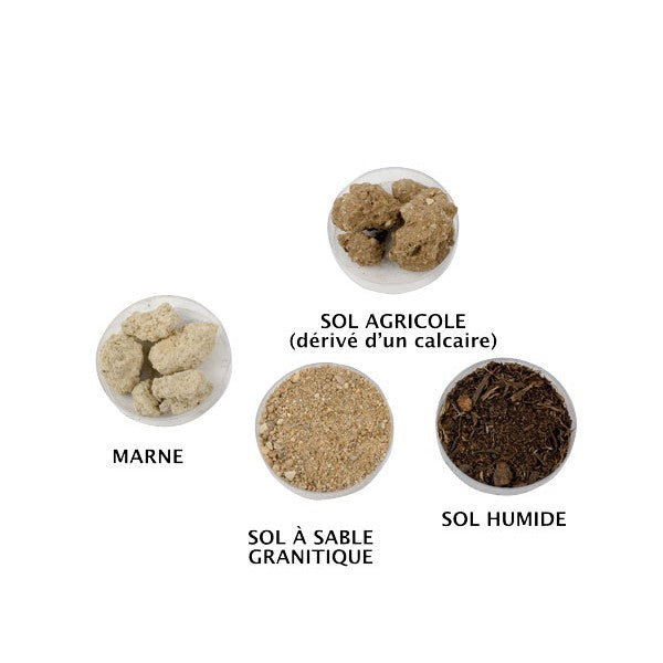 Kit 4 Solos Diferentes - NOVEDUC Equipamento Laboratório e Formação Profissional