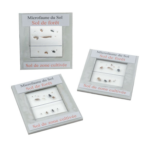 Kit Biodiversidade Do Solo - Inclusões - NOVEDUC Equipamento Laboratório e Formação Profissional
