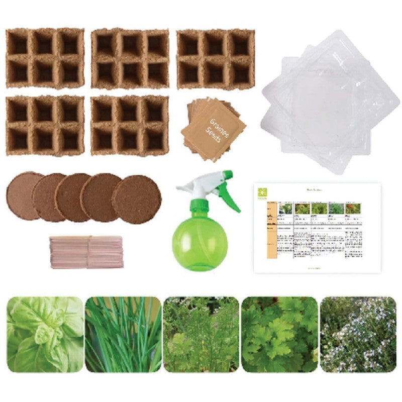 Kit De Plantio - NOVEDUC Equipamento Laboratório e Formação Profissional