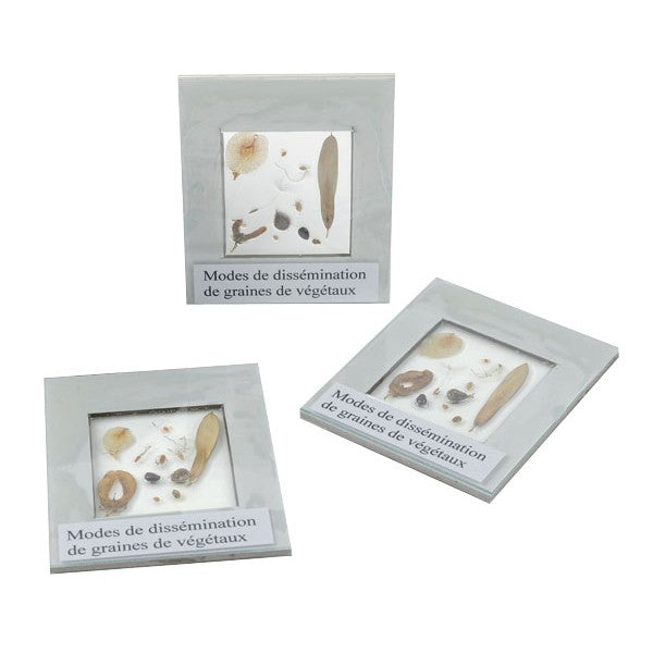 Kit Disseminação De Sementes - NOVEDUC Equipamento Laboratório e Formação Profissional