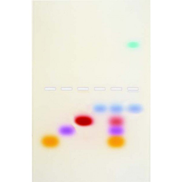 Kit Eletroforese Em Gel Agarose - NOVEDUC Equipamento Laboratório e Formação Profissional