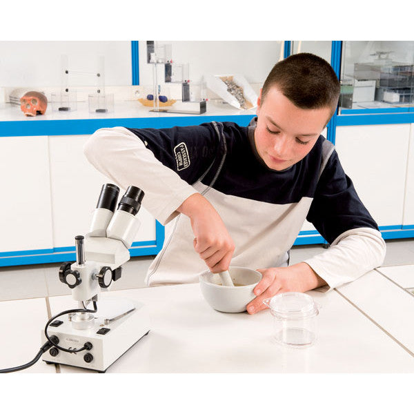 Kit Marga Cretáceo Terciário - NOVEDUC Equipamento Laboratório e Formação Profissional