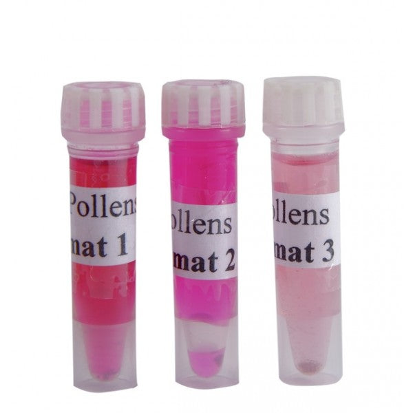 Kit Pólens Provenientes De Diferentes Climas - NOVEDUC Equipamento Laboratório e Formação Profissional