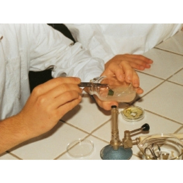 Kit Saint Paulia Cultura In Vitro - NOVEDUC Equipamento Laboratório e Formação Profissional