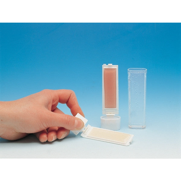 Lâminas Ágar-Ágar Flora/Coliformes - Conj. 20 - NOVEDUC Equipamento Laboratório e Formação Profissional