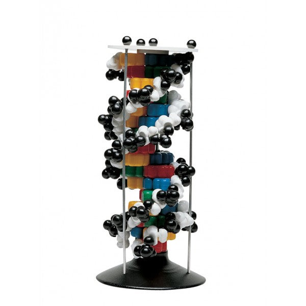Maquete Adn - NOVEDUC Equipamento Laboratório e Formação Profissional