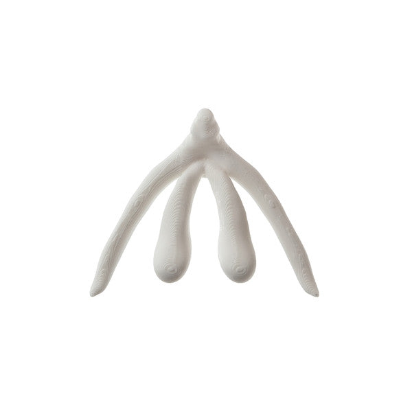 Modelo de Clitóris 3D - NOVEDUC Equipamento Laboratório e Formação Profissional