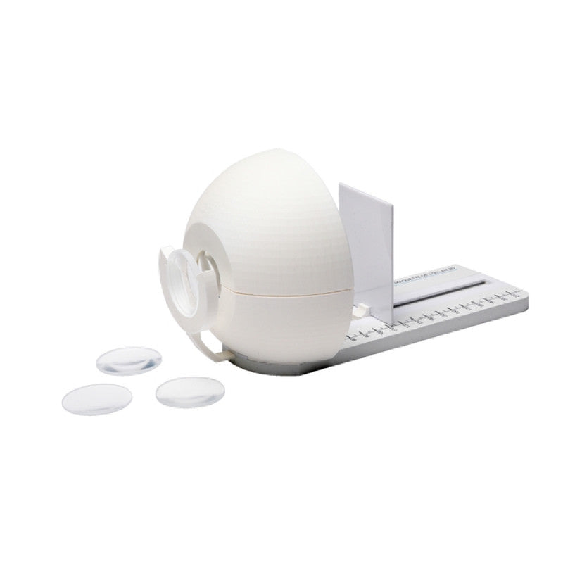 Modelo De Olho 3D - NOVEDUC Equipamento Laboratório e Formação Profissional