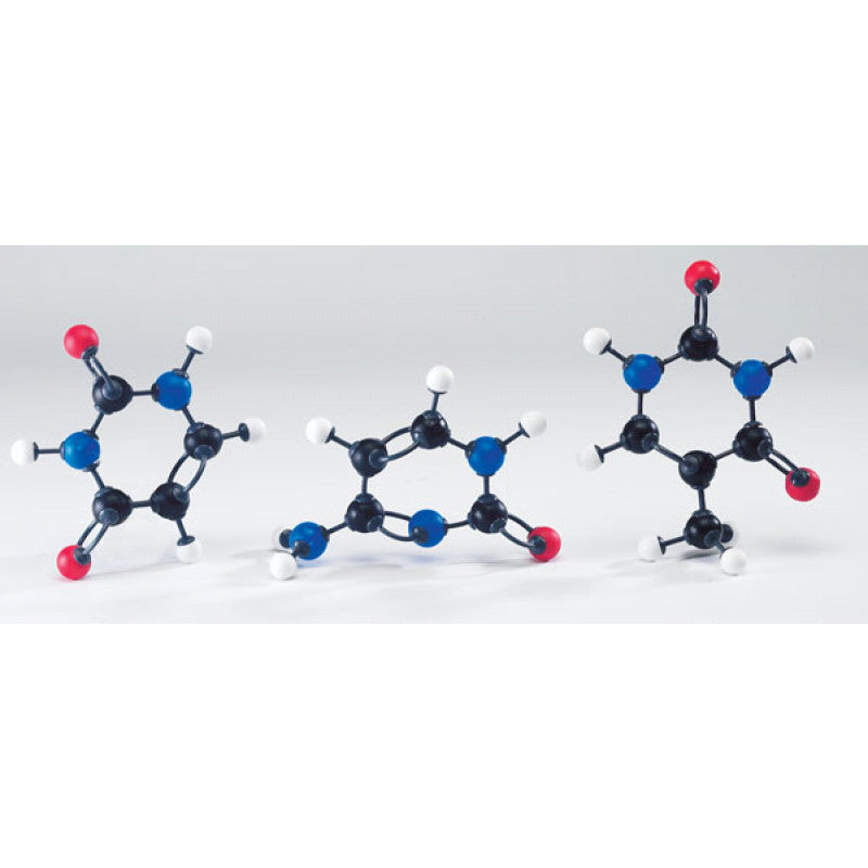 Modelos Moleculares De Ácidos Nucleicos - NOVEDUC Equipamento Laboratório e Formação Profissional