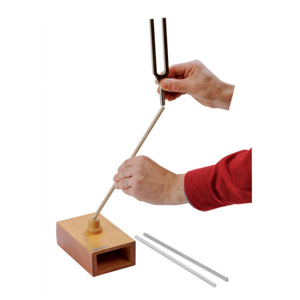 Propagação Do Som Por Diferentes Materiais - NOVEDUC Equipamento Laboratório e Formação Profissional