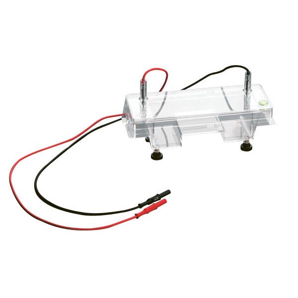 Tina De Eletroforese - 1 Gel