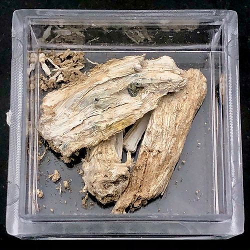 Asbesto (Var. De Tremolite) - NOVEDUC Equipamento Laboratório e Formação Profissional