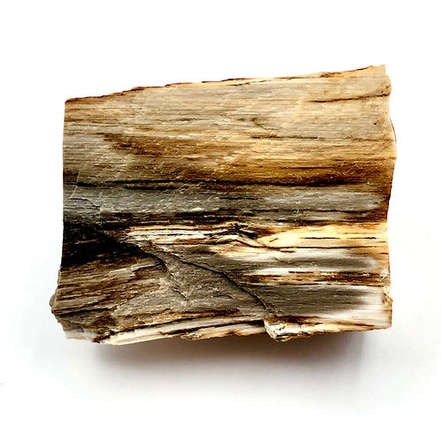 Dipterocarpus Sp. (Madeira Petrificada) - NOVEDUC Equipamento Laboratório e Formação Profissional