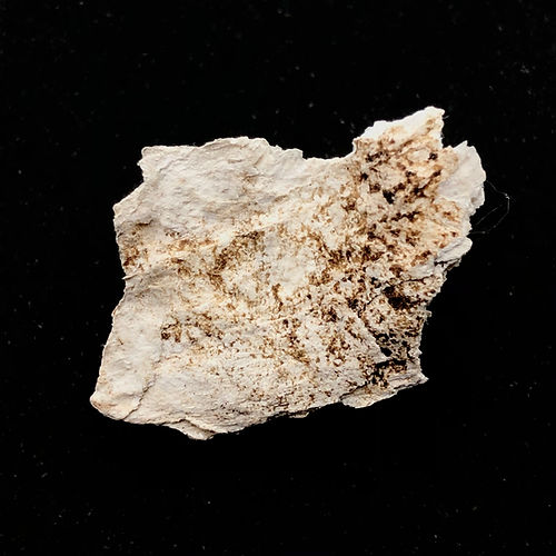 Paligorskite (Atapulgite) - NOVEDUC Equipamento Laboratório e Formação Profissional